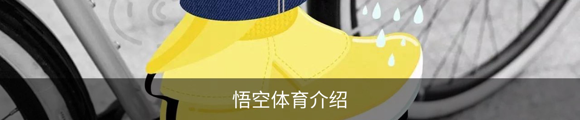 悟空体育介绍